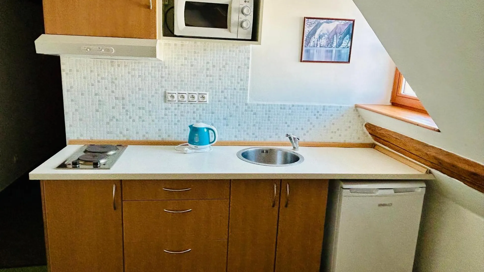 *** Gasthuis Dvur Stran & Wellness Hotel Karlsbad Tsjechië